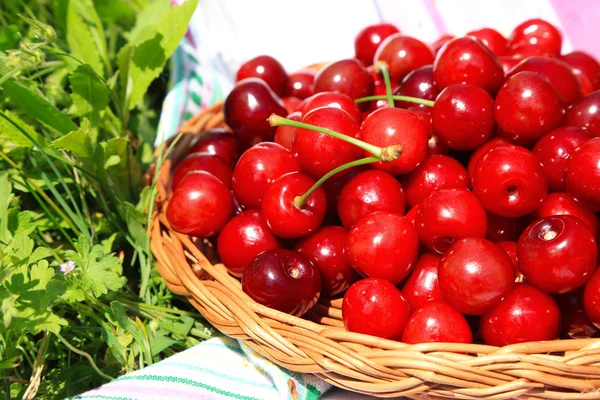 Sweet cherries on wicker stand with napkin on grass background — Stock Photo, Image