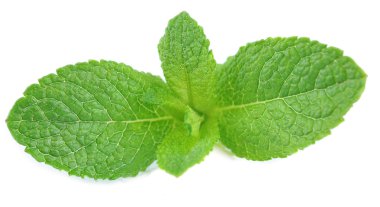 Beyazda izole edilmiş nane