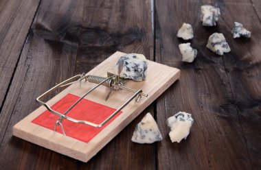 Mousetrap with cheese on wooden background clipart