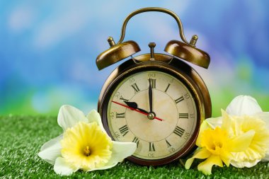 çalar saat doğa zemin üzerine yeşil çimenlerin üzerinde