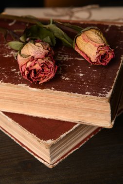 eski kitaplar üzerinde tablo yakın çekim