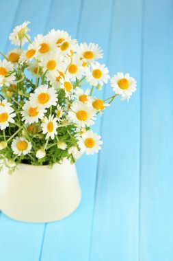 Chamomiles renk ahşap zemin üzerinde sürahi içinde