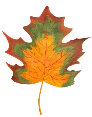 Dekoratif akçaağaç yaprağı el izole üzerinde beyaz