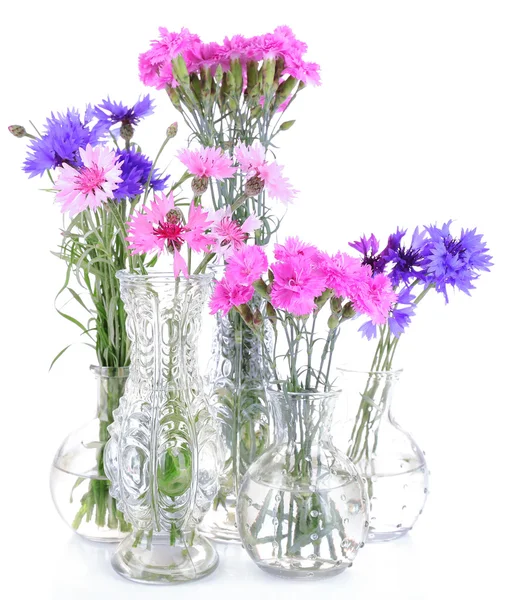 Beautiful summer flowers in vases, isolated on white — Stock Photo, Image