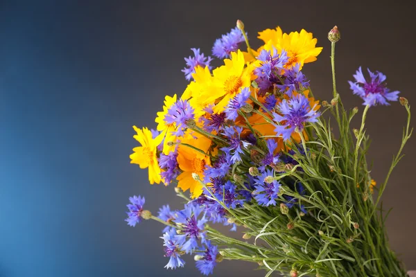 Bellissimi fiori selvatici su sfondo luminoso — Foto Stock