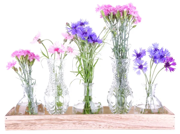 Hermosas flores de verano en jarrones, aisladas en blanco —  Fotos de Stock