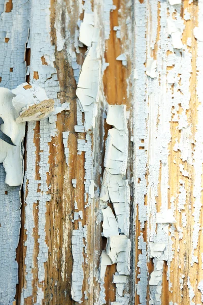 Ancienne texture en bois — Photo