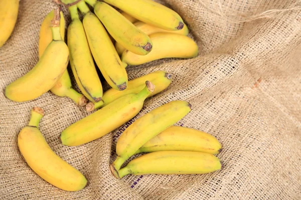 Ramo de mini plátanos sobre fondo de saco —  Fotos de Stock
