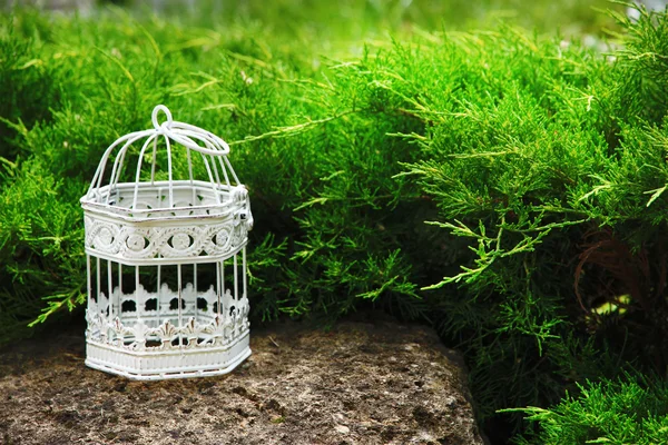 Jaula de aves vintage blanca vacía al aire libre — Foto de Stock