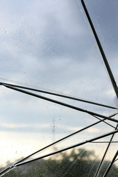 Wet transparent umbrella on sky background — Stock Photo, Image
