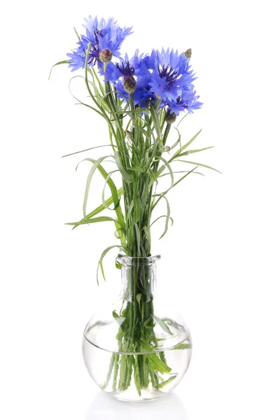 美丽的夏日鲜花插在花瓶里，白色衬底上分离 — 图库照片