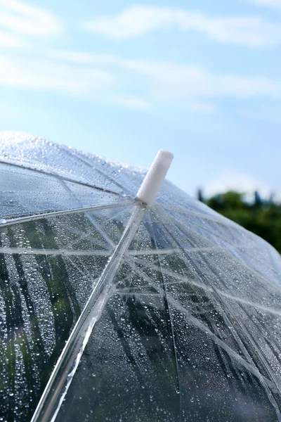 Våt genomskinligt paraply på himmel bakgrund — Stockfoto