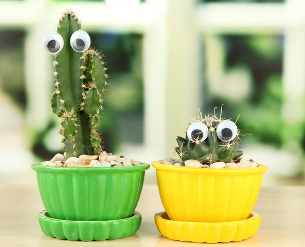 Cactuses in flowerpots with funny eyes on wooden windowsill — Stock Photo, Image