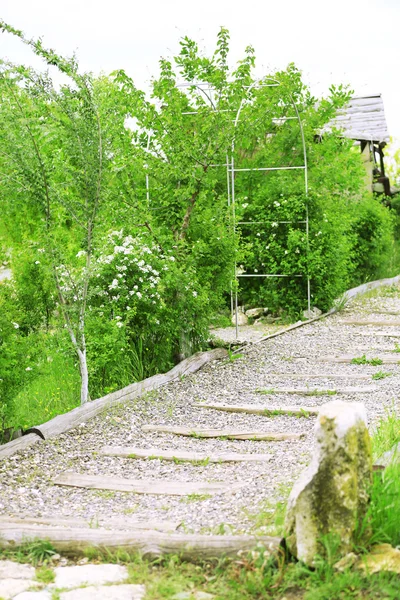 石头小道特写 — 图库照片