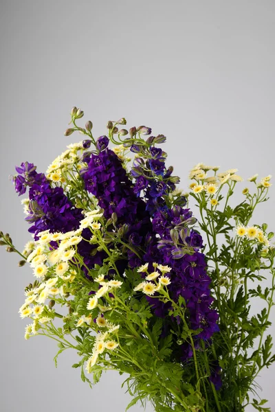 Vacker lila blommor isolerad på vit — Stockfoto