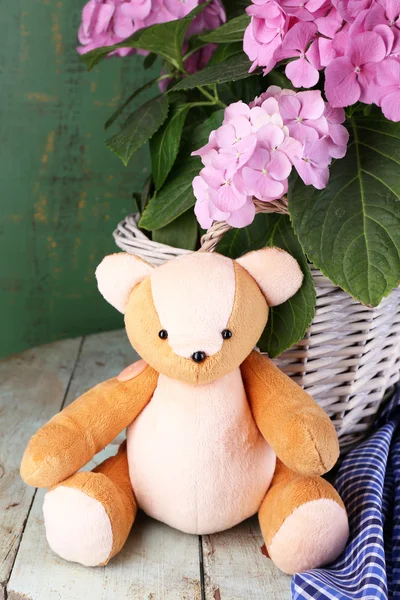 Hydrangea in basket with teddy bear close-up — Stock Photo, Image