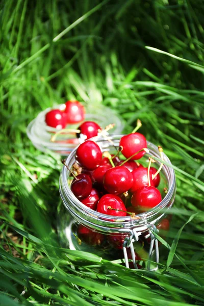 Сладкие спелые вишни в стеклянной банке на зеленом фоне травы — стоковое фото