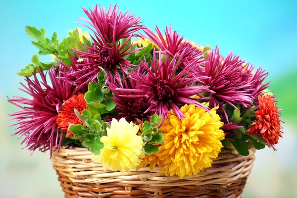 Hermosas flores en canasta de mimbre sobre fondo brillante —  Fotos de Stock