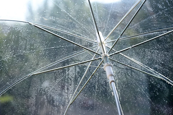 Wet transparent umbrella on natural background — Stock Photo, Image