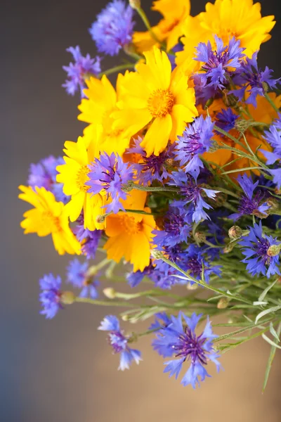 Prachtige wilde bloemen op lichte achtergrond — Stockfoto