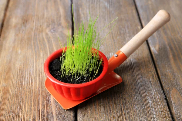 Young plant in pot on garden shovel on wooden background — Stock Photo, Image