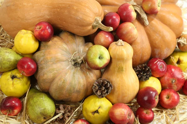 Herbst-Komposition von Früchten und Kürbissen auf Stroh in Nahaufnahme — Stockfoto