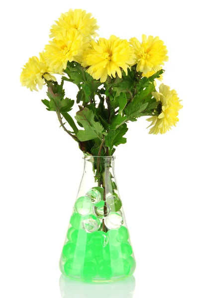 Beautiful flowers in vase with hydrogel isolated on white — Stock Photo, Image