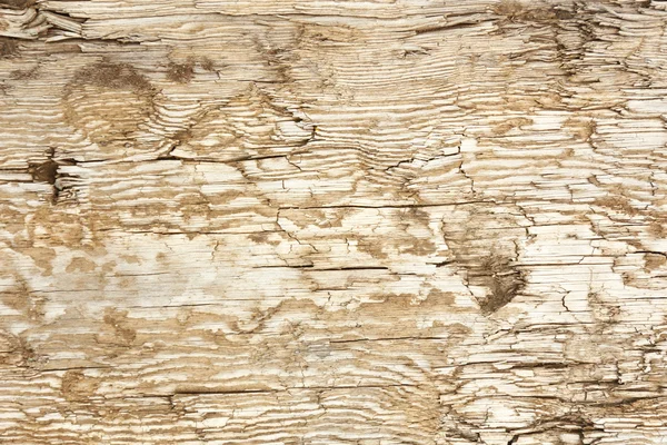 Houten plank bruine textuur achtergrond — Stockfoto
