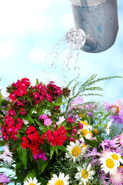 Water kan drenken bloemen op lichte achtergrond — Stockfoto