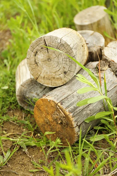 Legna da ardere su erba verde — Foto Stock