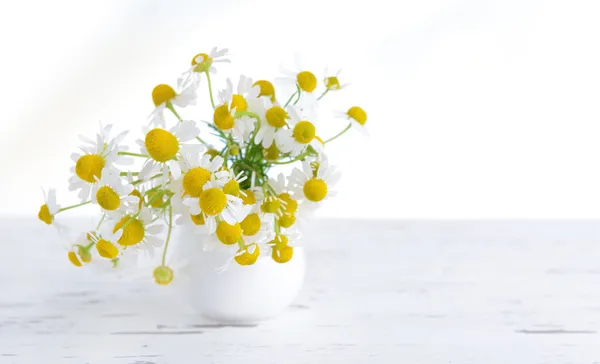 Beautiful daisies flowers in vase on table on light background — Stock Photo, Image