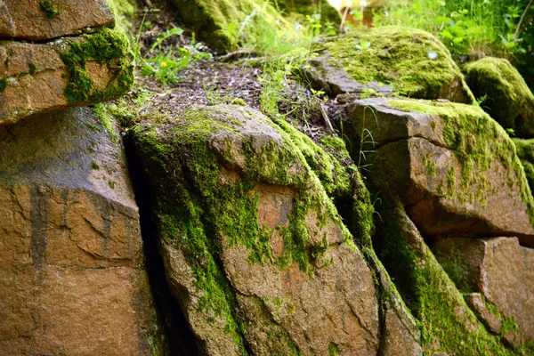 Textura de piedra de cerca —  Fotos de Stock