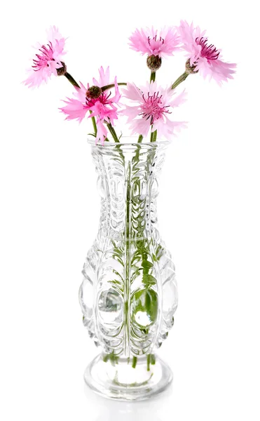 Hermosas flores de verano en jarrón, aisladas en blanco — Foto de Stock