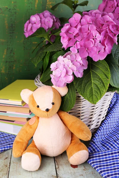 Hydrangea in basket with teddy bear and books close-up — Stock Photo, Image
