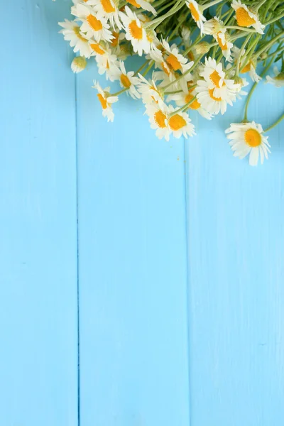 Chamomiles op een houten achtergrond kleur — Stockfoto