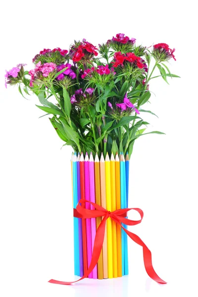 Beautiful flowers in colorful pencils vase isolated on white — Stock Photo, Image