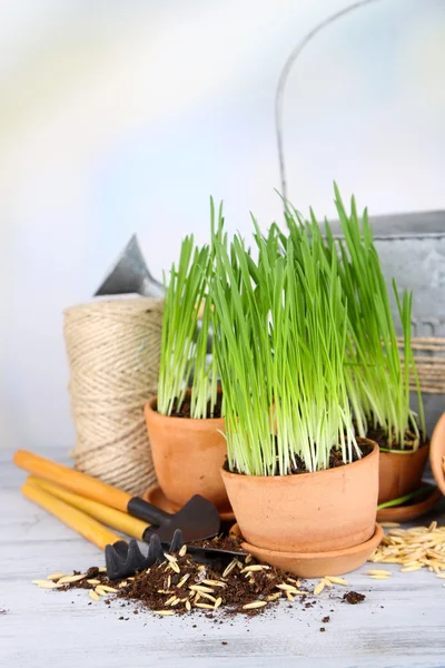 植木鉢、園芸工具、木製テーブルの上に緑の草 — ストック写真