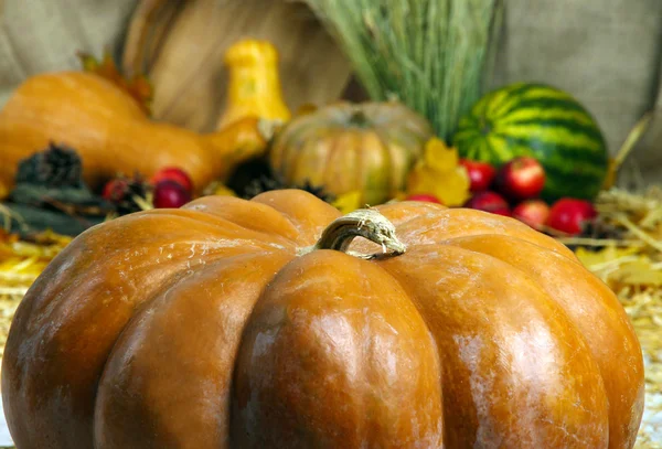 Pumpkins and apples with watermelon on straw on sackcloth background — Stock Photo, Image