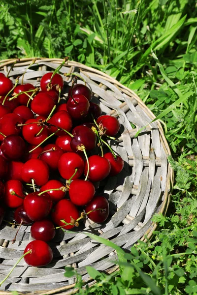 Sweet ripe cherries on wicker mat, on green grass background — Stock Photo, Image