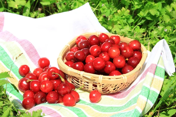 Cerises douces dans un panier en osier avec serviette sur fond d'herbe — Photo