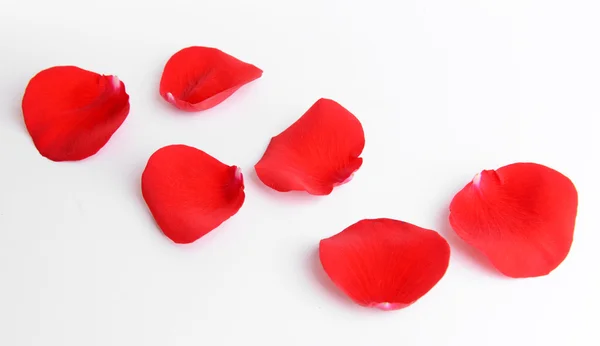 Beautiful petals of red roses isolated on white — Stock Photo, Image