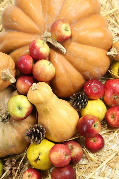 Meyve ve saman yakın çekim üzerinde pumpkins sonbahar kompozisyon — Stok fotoğraf