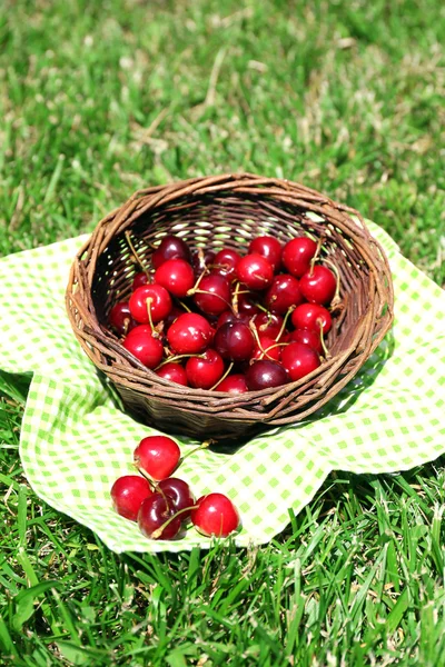 Süße reife Kirschen im Weidenkorb, auf grünem Gras Hintergrund — Stockfoto