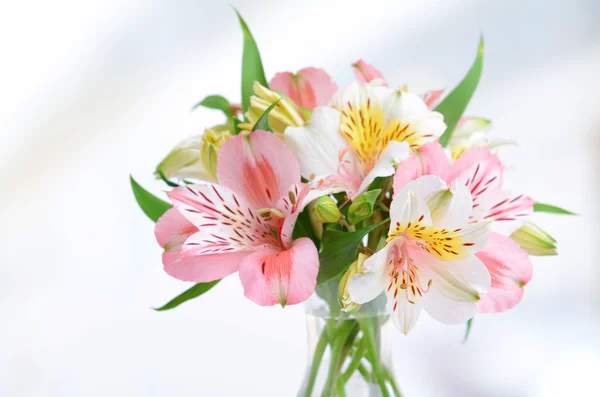 Alstroemeria flores en jarrón sobre mesa sobre fondo claro —  Fotos de Stock