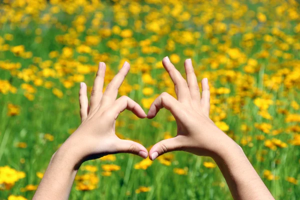 Menina segurando as mãos em forma de coração enquadramento em flores amarelas fundo — Fotografia de Stock