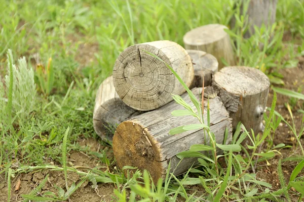 Firewood on green grass — Stock Photo, Image