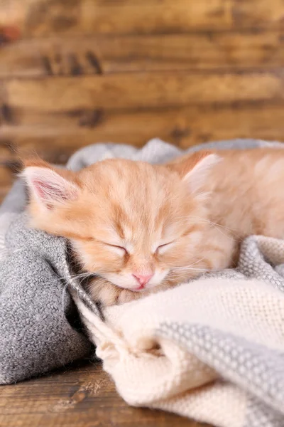 Милая маленькая красная кошечка спит на мягком пледе, на деревянном фоне — стоковое фото