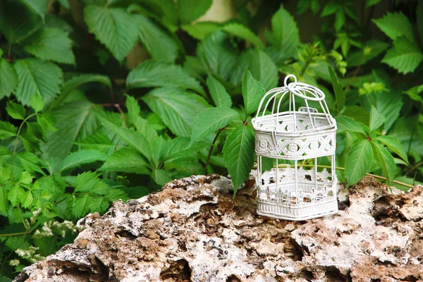 Jaula de aves vintage blanca vacía al aire libre — Foto de Stock