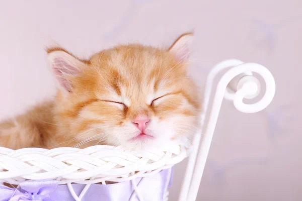 Χαριτωμένο μικρό γατάκι κόκκινο που κοιμάται στο διακοσμητικό καλάθι, σε φωτεινό φόντο — Φωτογραφία Αρχείου
