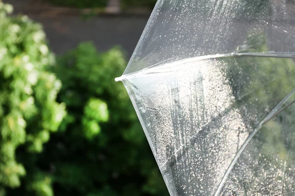 Wet transparent umbrella on natural background — Stock Photo, Image